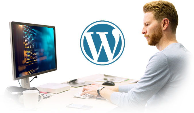 WordPress design company in Delhi